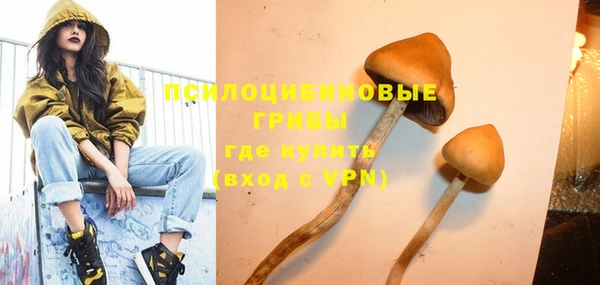 индика Вязники