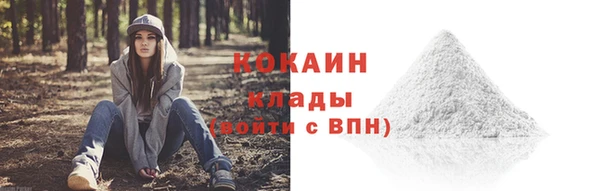 прущий лед Вязьма