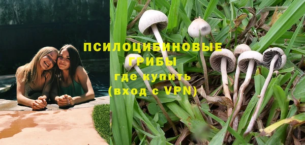 прущий лед Вязьма