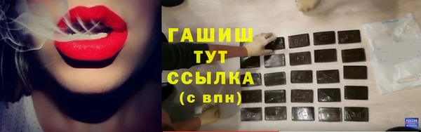 индика Вязники