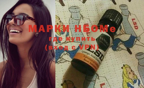индика Вязники