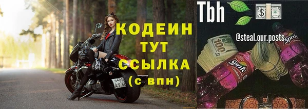 ПСИЛОЦИБИНОВЫЕ ГРИБЫ Горняк
