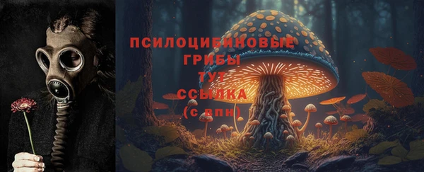 индика Вязники