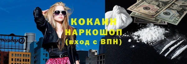 индика Вязники