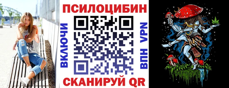 Купить  Новоалтайск  Псилоцибиновые грибы Cubensis 